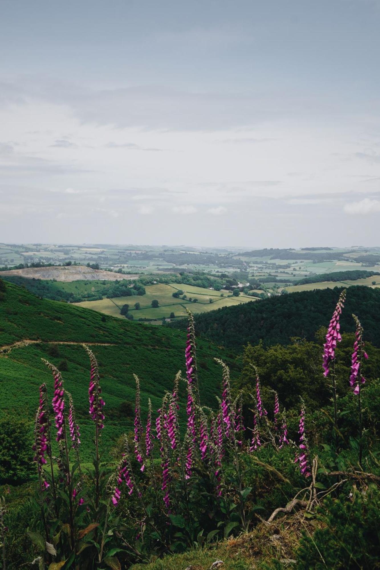 Two Unique Cabins Wrapped In Beautiful Welsh Scenery Presteigne Exterior photo